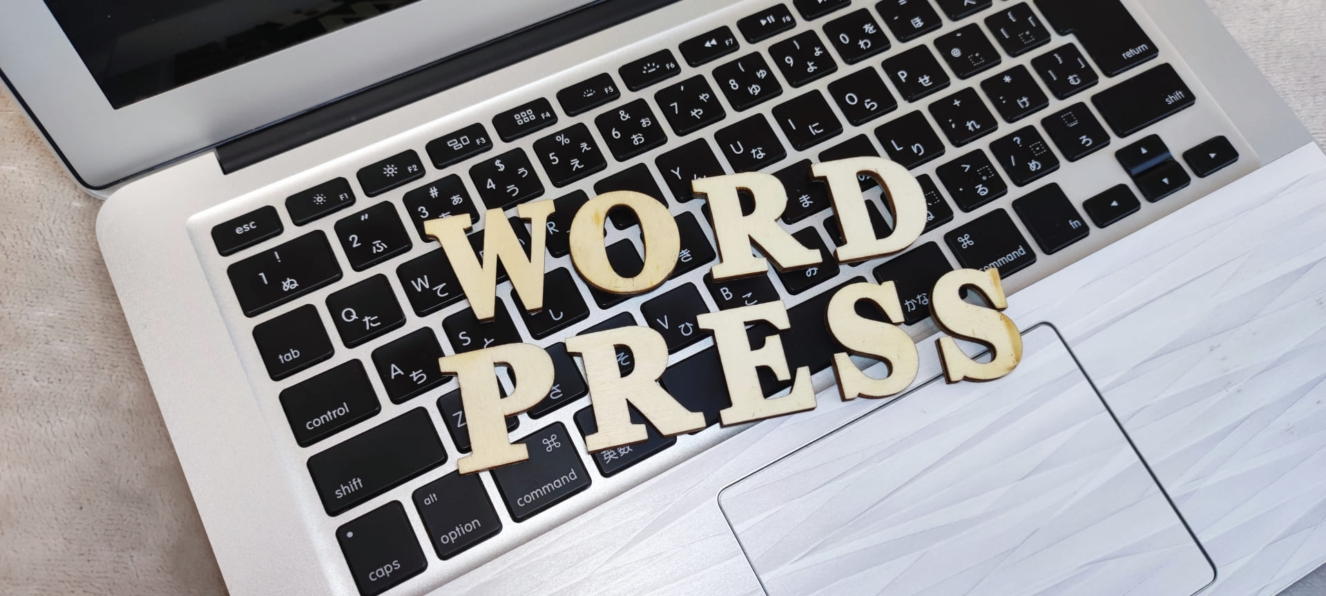 wordpress