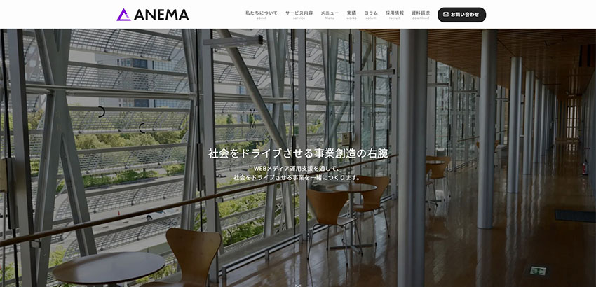 株式会社アネマ