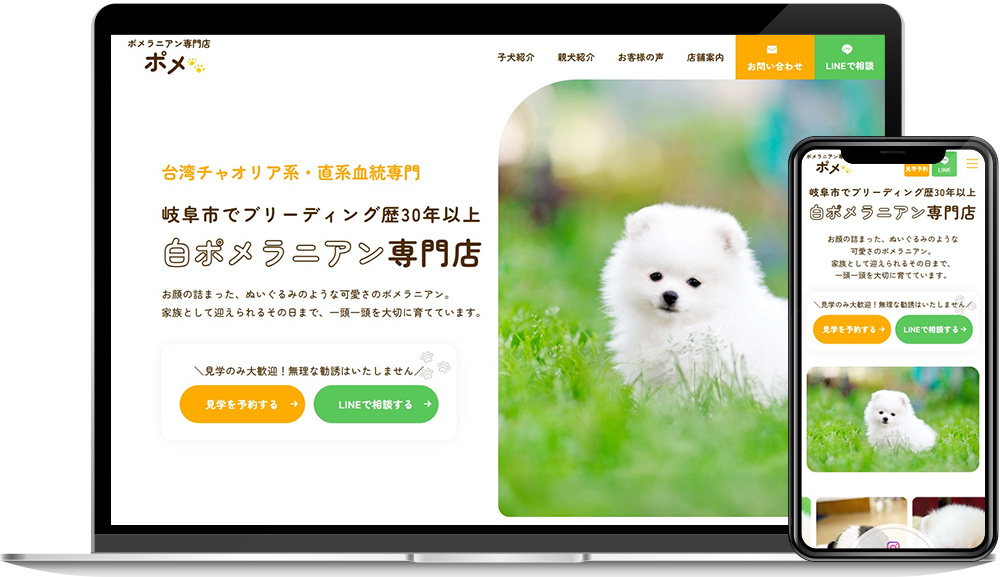 ポメラニアン専門店ポメ様のメイン画像