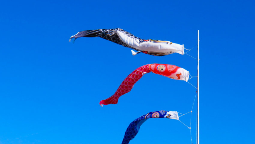 鯉のぼり