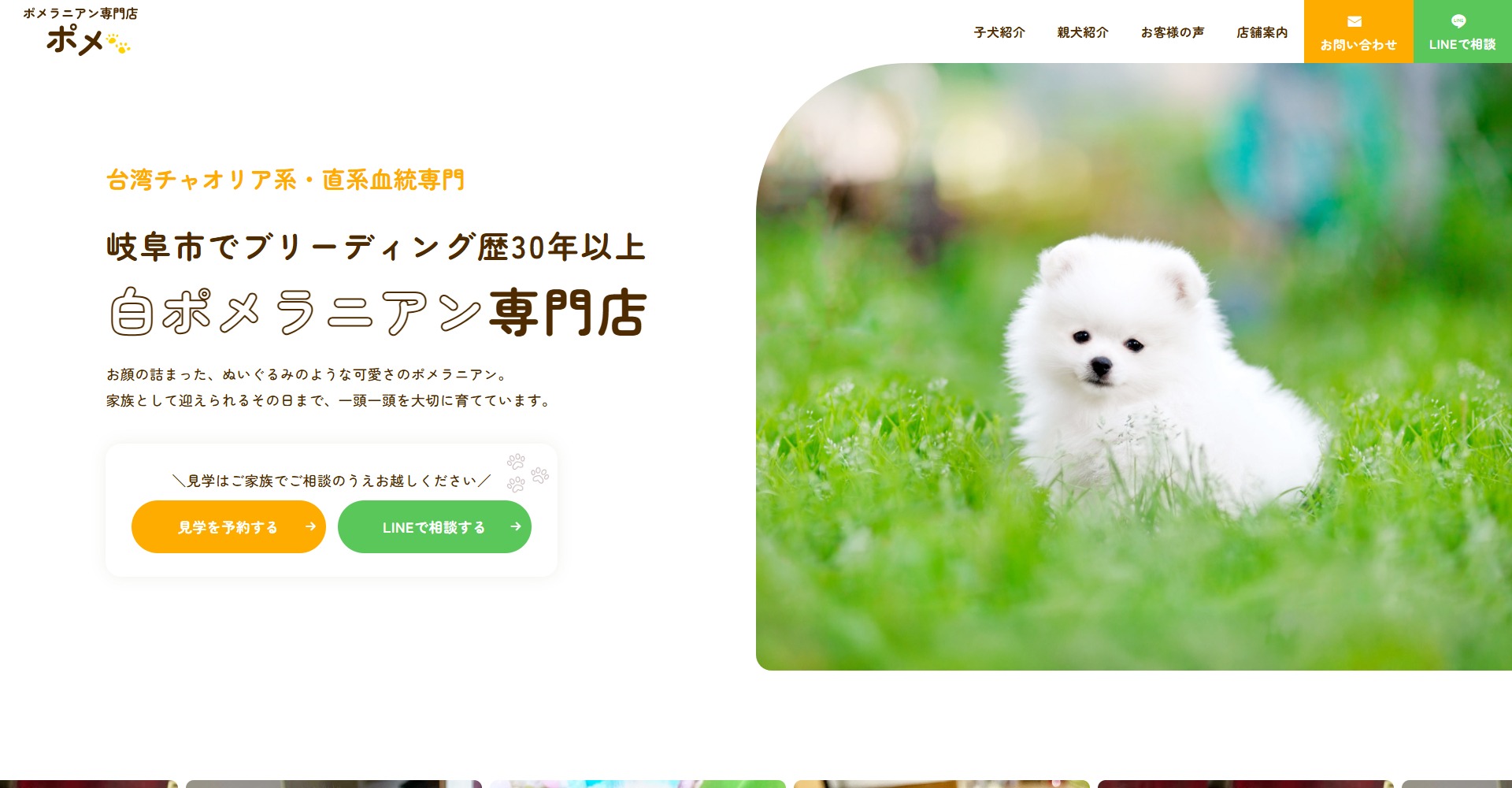 ポメラニアン専門店 ポメ様のホームページ